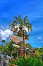 Jungle Cruise at Magic Kingdom