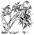 Sumi-e bamboos suibokuga Royalty Free Stock Photo