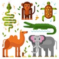 Jungle or exotic animals icons