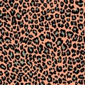 Jungle exotic safari leopard pattern. Texture repeating seamless Orange black green color. Royalty Free Stock Photo