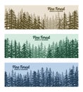 JUNGLE FLAT DESIGN PINE FOREST BANNERS SET WITH SUNRISE SUNSET PINE TREES BACKGROUND
