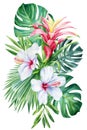 Jungle flowers and palm leaves on isolated white background, watercolor botanical painting. Colored plants