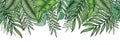 Jungle foliage pattern with green tropical leaves on white, hand drawn seamless border in tropical illustration banner design