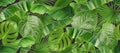 Jungle foliage seamless pattern, 3d vector background