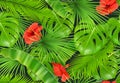 Jungle foliage seamless pattern. 3d vector background Royalty Free Stock Photo