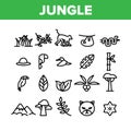 Jungle Forest Collection Elements Icons Set Vector