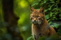 Jungle Gaze: Majestic Wild Cat in Lush Greenery