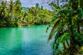 Jungle green river Loboc at Bohol island of Philippines. Bamboo hut under palm trees, Bohol, Philippines Royalty Free Stock Photo