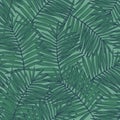 Jungle greenery background for print, textile, fabric, cover design. Dark green tropical leaf in line art style Royalty Free Stock Photo