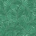 Jungle greenery background for print, textile, fabric, cover design. Dark green tropical leaf in line art style Royalty Free Stock Photo