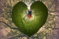 Jungle heart with horned insect