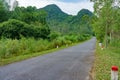 Jungle Highway. Picturesque beautiful deserted road in the jungle.
