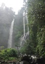 Jungle hike in Bali Indonesia very green plants and waterfall Royalty Free Stock Photo