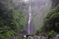 Jungle hike in Bali Indonesia very green plants and waterfall Royalty Free Stock Photo