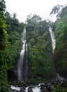 Jungle hike in Bali Indonesia very green plants and waterfall Royalty Free Stock Photo