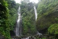 Jungle hike in Bali Indonesia very green plants and waterfall