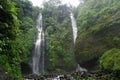 Jungle hike in Bali Indonesia very green plants and waterfall Royalty Free Stock Photo