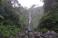 Jungle hike in Bali Indonesia very green plants and waterfall