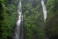 Jungle hike in Bali Indonesia very green plants and waterfall Royalty Free Stock Photo