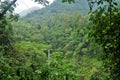 Jungle hike in Bali Indonesia and waterfall