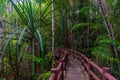 Jungle hiking trail - local landmark in Krabi Park