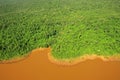 Jungle by Iguazu river. Argentina Royalty Free Stock Photo