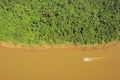 Jungle by Iguazu river. Royalty Free Stock Photo