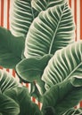 Jungle illustration exotic tropic texture green nature background leaves summer plant pattern Royalty Free Stock Photo