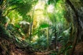 Jungle at Krabi, Thailand Royalty Free Stock Photo