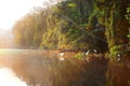 Jungle lake with white herons in the morning sun