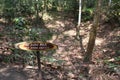 Jungle landscape with a bomb crater at Vietcong tunnel systems in Cu Chi in Vietnam, Asia