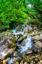 Jungle landscape with flowing turquoise water of georgian cascade waterfall at deep green forest. Mountain of georgia Royalty Free Stock Photo