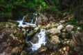 Jungle landscape with flowing turquoise water of georgian cascade waterfall at deep green forest. Mountain of georgia Royalty Free Stock Photo