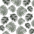 Jungle Leaves Drawing Pattern