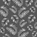 Jungle Leaves Drawing Pattern