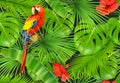 Jungle leaves and parrot, seamless pattern. Vector background