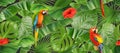 Jungle leaves and parrots, seamless pattern. 3d vector background