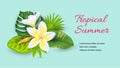 Jungle leaves with tropical flower plumeria banner