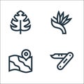 Jungle line icons. linear set. quality vector line set such as , map, plant