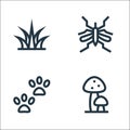 jungle line icons. linear set. quality vector line set such as mushrooms, footprint, mosquito