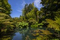 The Jungle at the Lost Gardens of Heligan in Cornwall, UK Royalty Free Stock Photo