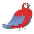 Jungle macaw icon cartoon vector. Tropical bird