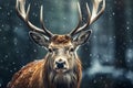 Jungle Majesty A reindeer, the king of the dramatic jungle realm