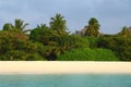 Jungle on the maldivian island Royalty Free Stock Photo