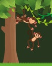 Jungle monkeys cartoon