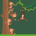 Jungle monkeys cartoon