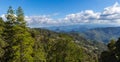 Jungle mountains