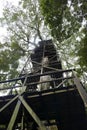 Jungle observation tower, La Selva Amazon Eco Lodge, Orellana Royalty Free Stock Photo