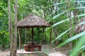 Jungle palapa hut sunroof in Mexico Mayan riviera