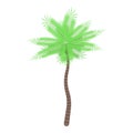 Jungle palm tree icon, isometric style Royalty Free Stock Photo